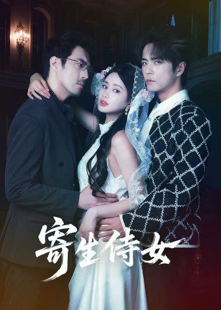 九九影视人气动漫榜第三名